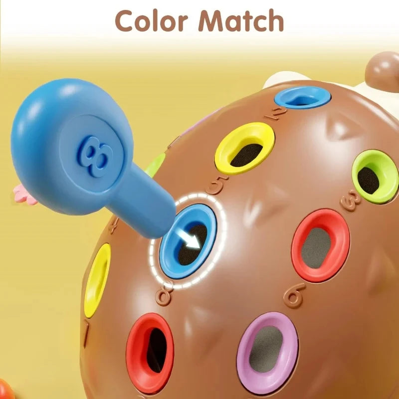 Sensory Hedgehog Toys Toddler