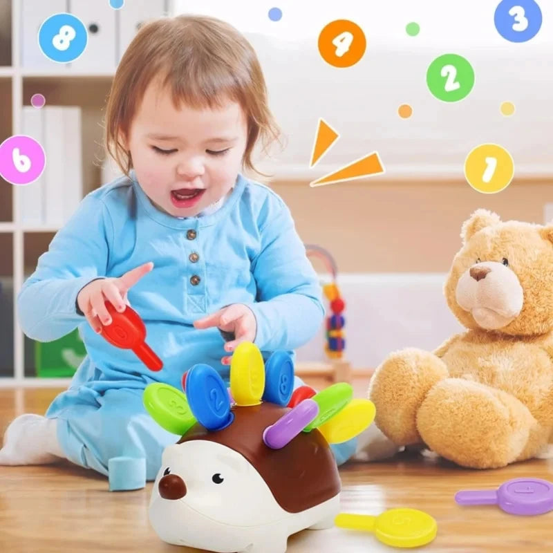 Sensory Hedgehog Toys Toddler