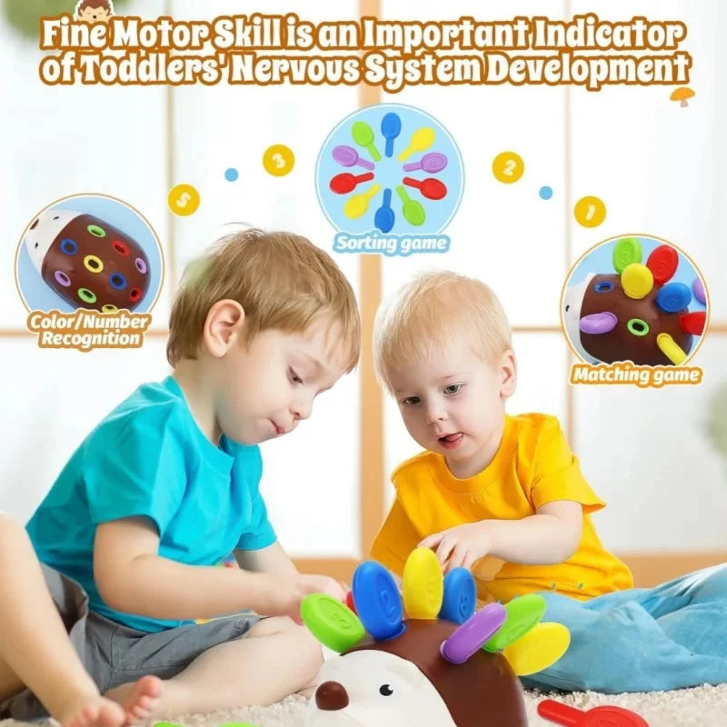 Sensory Hedgehog Toys Toddler