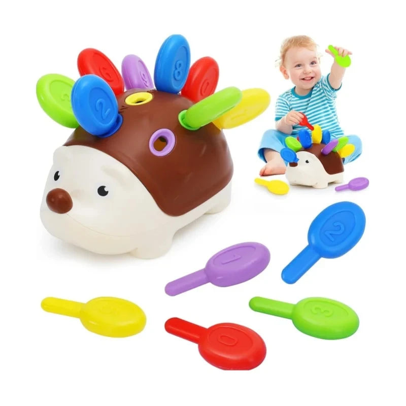 Sensory Hedgehog Toys Toddler